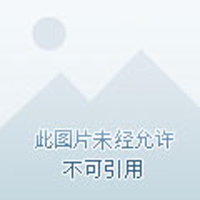 市场摊位出租：抓住商机的钥匙